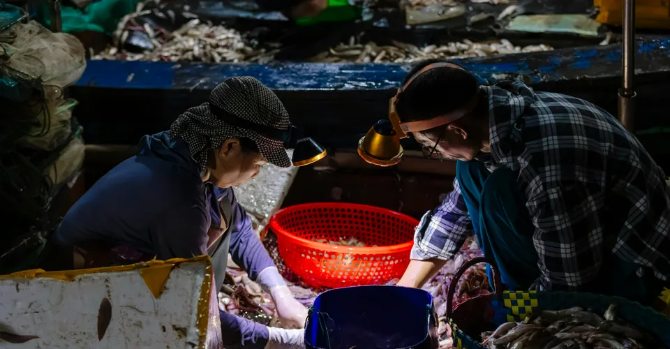 The Bottom-Fishing Trade Just Got Real—Here's What It Means