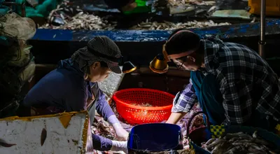 The Bottom-Fishing Trade Just Got Real—Here's What It Means