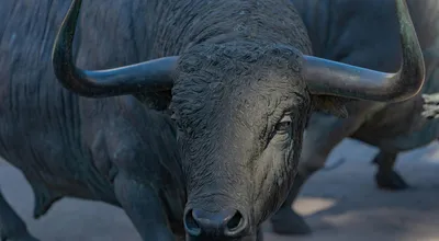 The Bull Market's Hostage Situation
