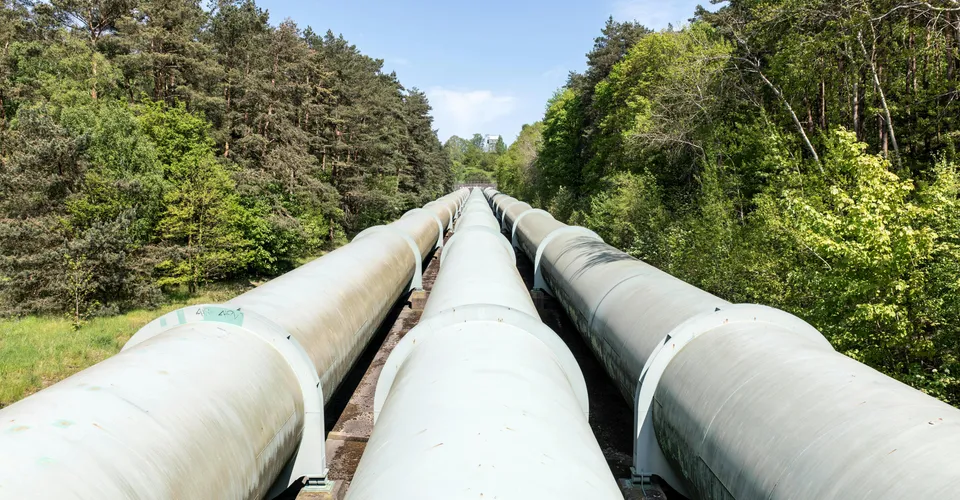 The Cartel-Gold Pipeline and Why Nobody's Stopping It