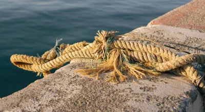 The Great Unraveling: Why Security Council Reform Died in Delhi