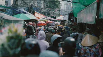 The Market's Schizophrenia Problem—And Why You Should Exploit It