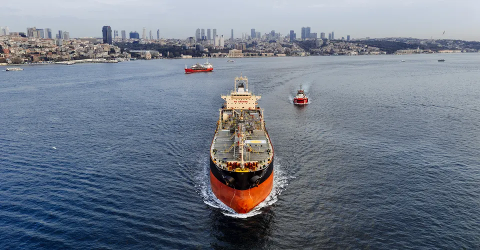 The Strait of Hormuz Just Became Your Portfolio's Biggest Wildcard