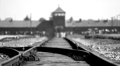Wars, VAT Cuts, and Deportation Squads: How Crisis Politics Just Became the New Normal