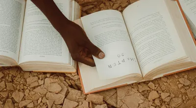 When Giants Stumble: Reading the Tea Leaves in Nvidia's Break and Berkshire's Streak